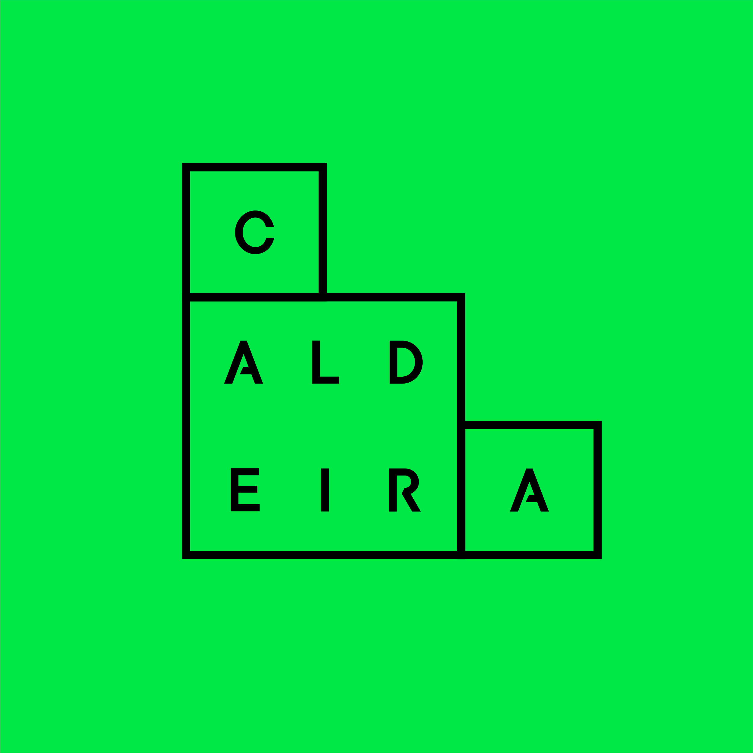Instituto Caldeira
